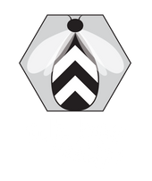 Ally Bee Design