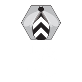 Ally Bee Design