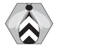 EDWOSB Marketing and Design Agency Ally Bee Design's logo of black and white bee in hexagon with tagline, 