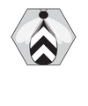 Ally Bee Design