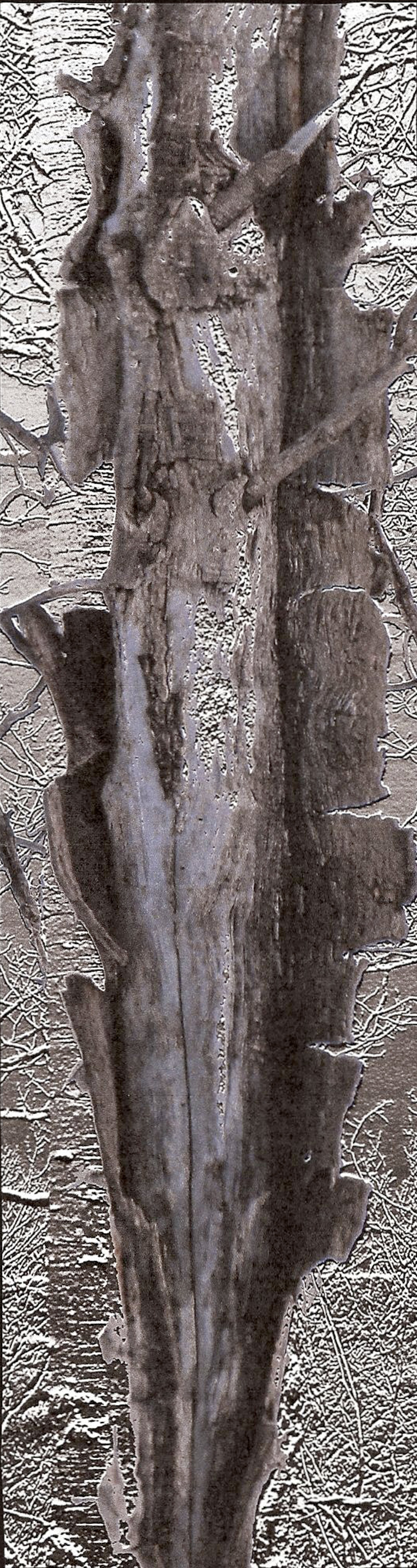 Metallic Tree Bark on Metal Art